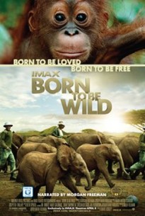 Born to Be wild