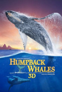 Humpback whales IMAX