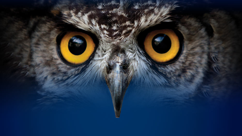 IMAX Movie IMAX Victoria Royal BC Museum, Victoria, BC