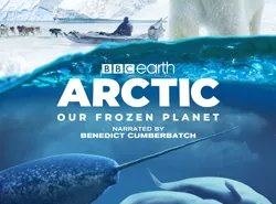 Arctic Our Frozen Planet