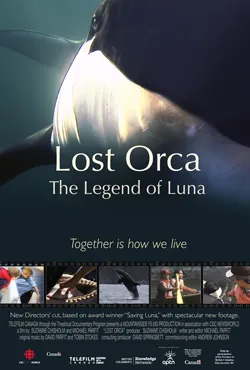 Lost Orca