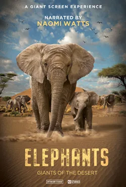 Elephants