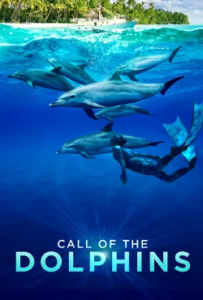Call of the Dolphins