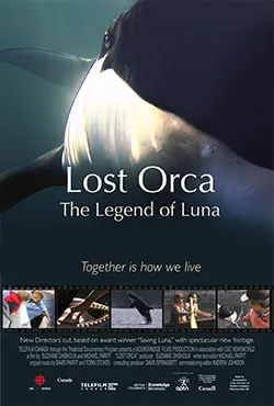 Lost Orca