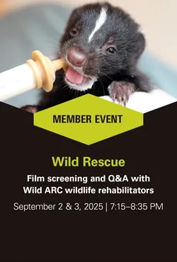 Wild Rescue Members