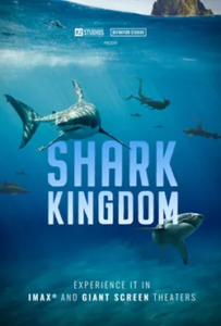Shark Kingdom
