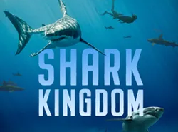 Shark Kingdom