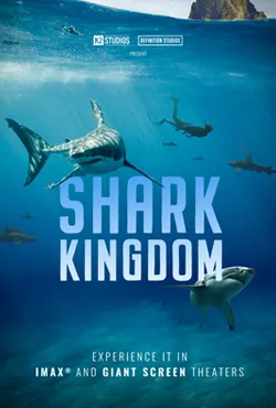 Shark Kingdom