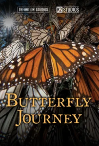 Butterfly Journey