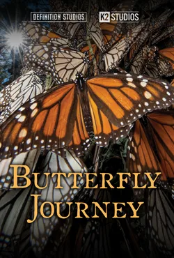 Butterfly Journey