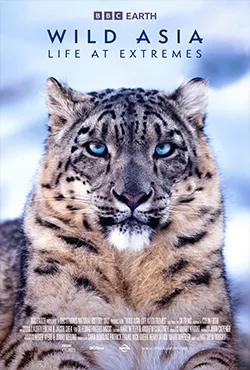BBC Studios: Wild Asia