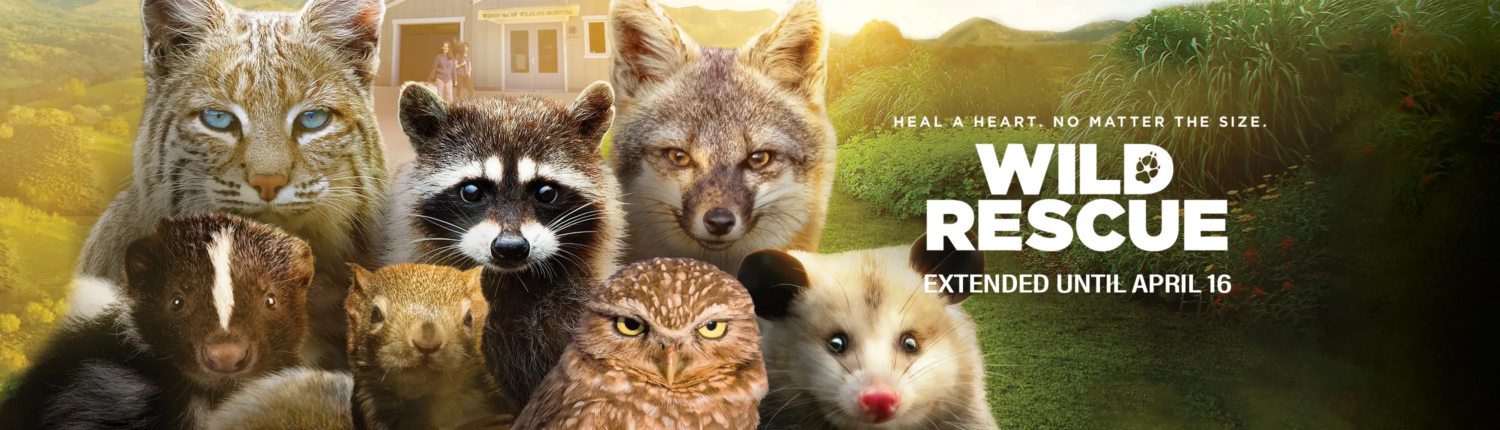 Wild_Rescue_April16